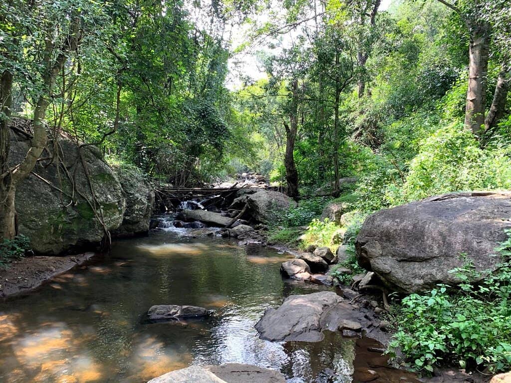 Chinnar Wildlife Sanctuary Trek