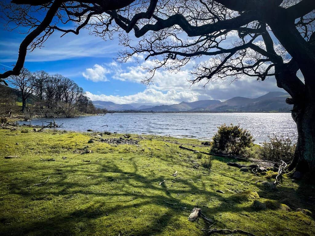 Lakeside Walks
