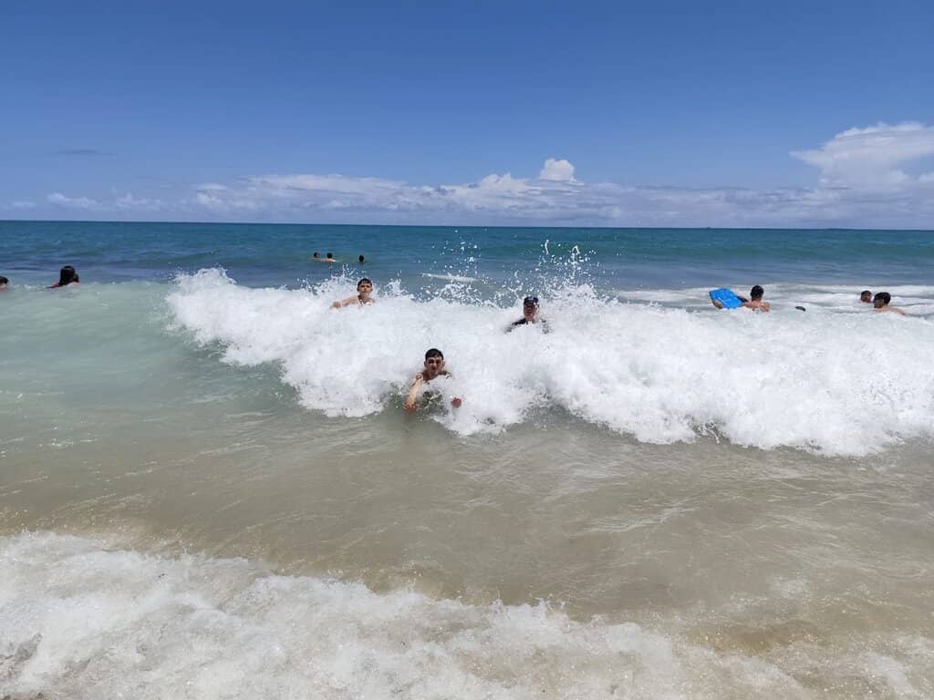 Coconut Tree Scenery