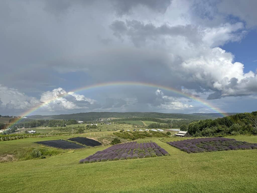 Artisanal Coffeehouse