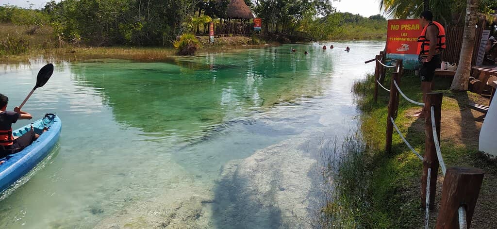Hammocks Over the Lagoon