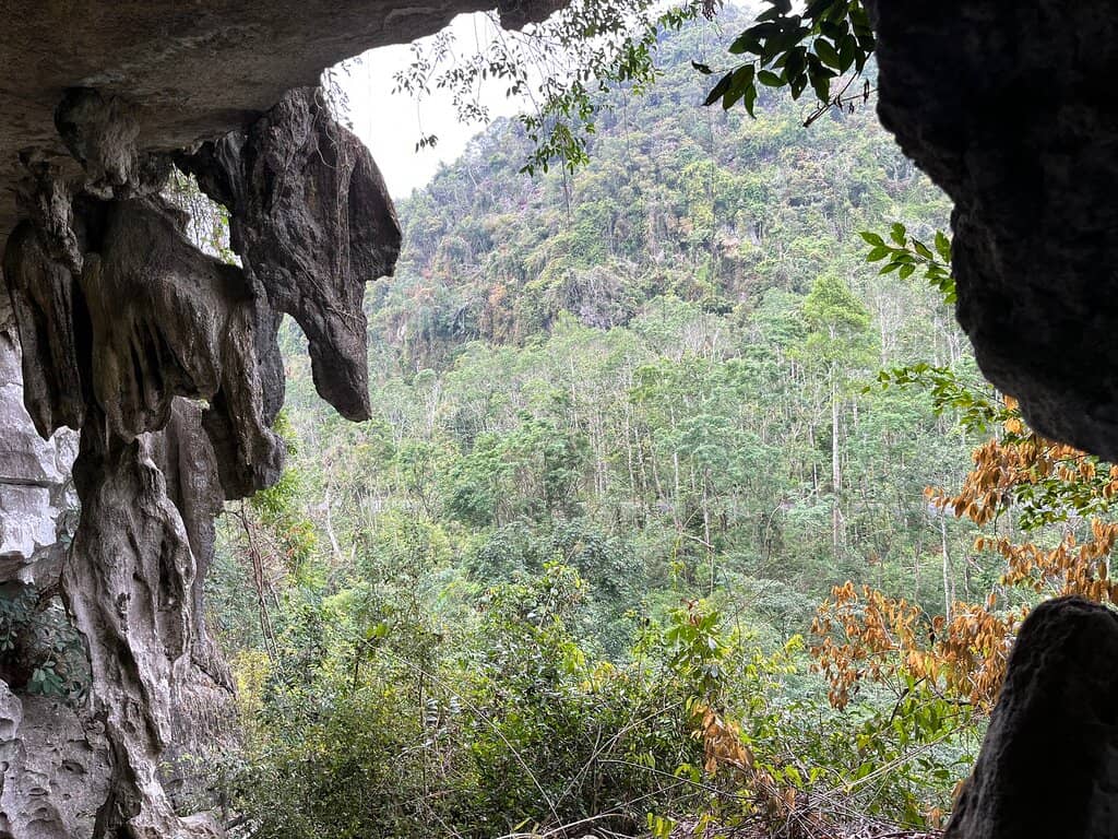 Stalactite Formations