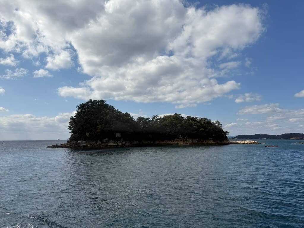 Pearl Queen Sightseeing Boat