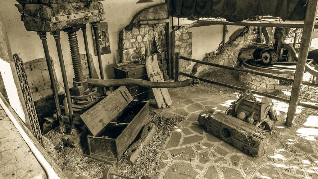 Olive Oil Production Tour