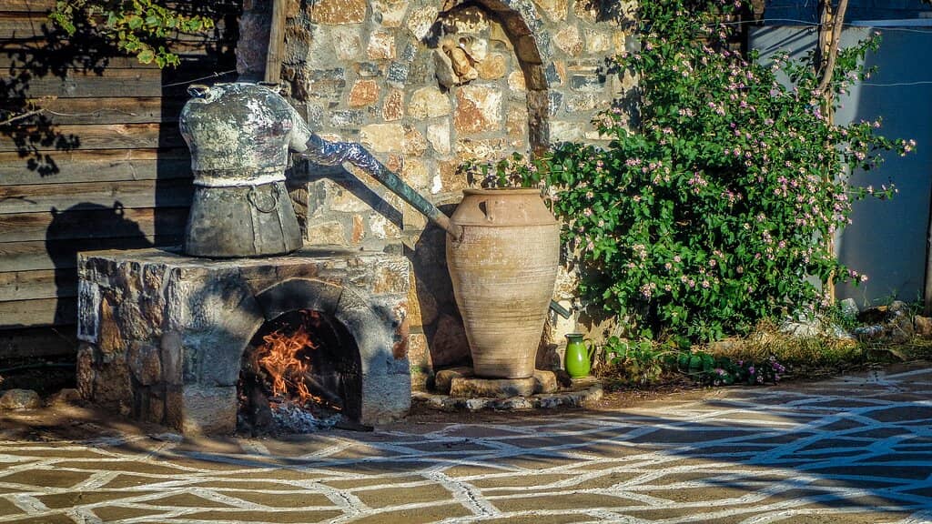 Goat Milking & Cheese Tasting