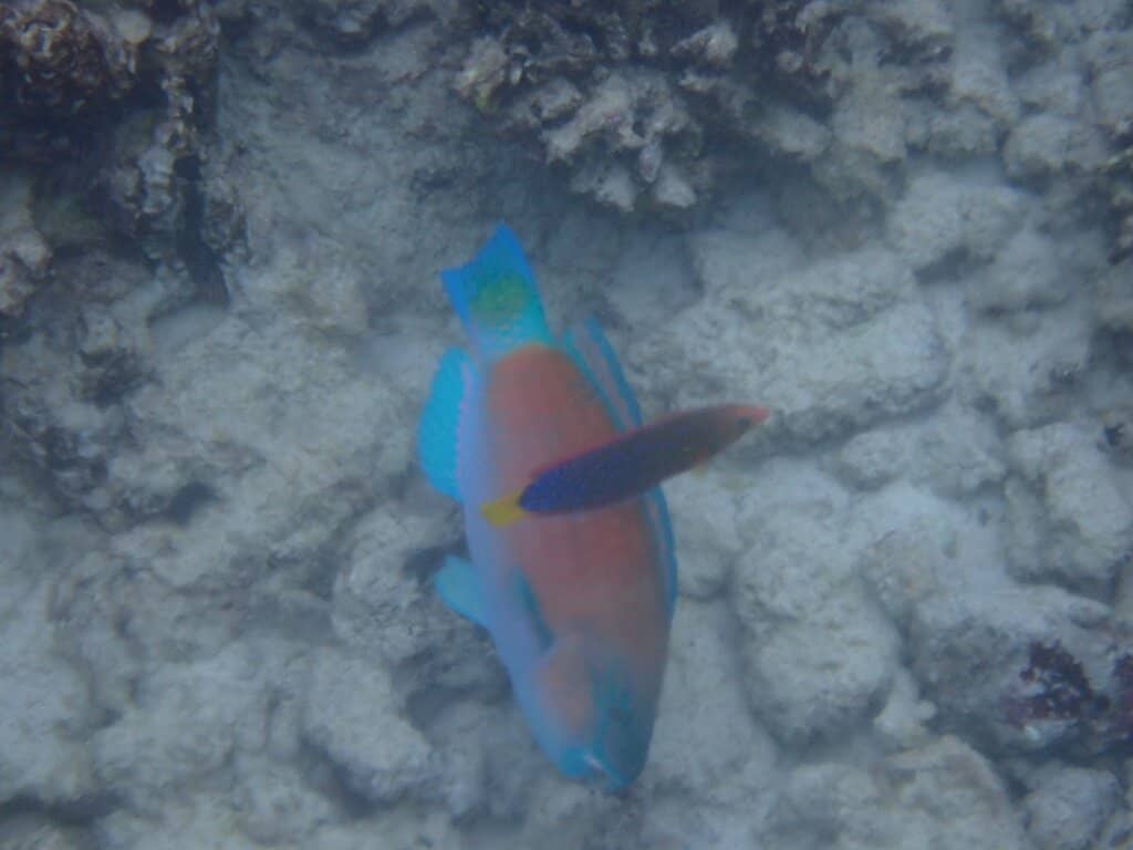 The "Two Step" Lava Entry