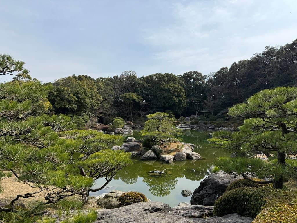 Rock Garden Serenity