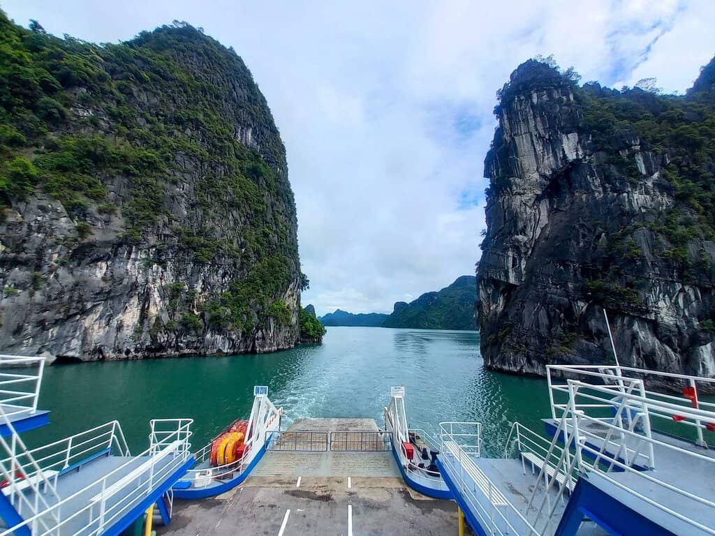 Local Fruit & Cafe Experience