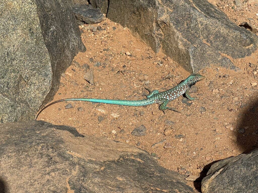 Panoramic Ocean Views