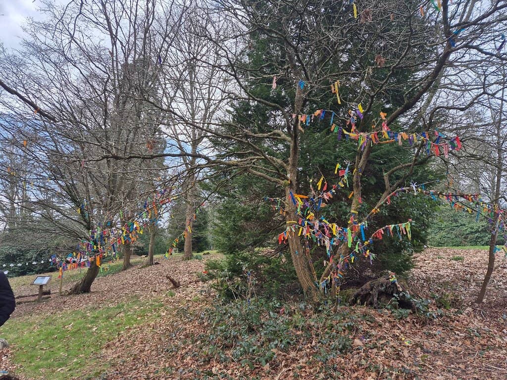 Waverley Abbey House Cafe