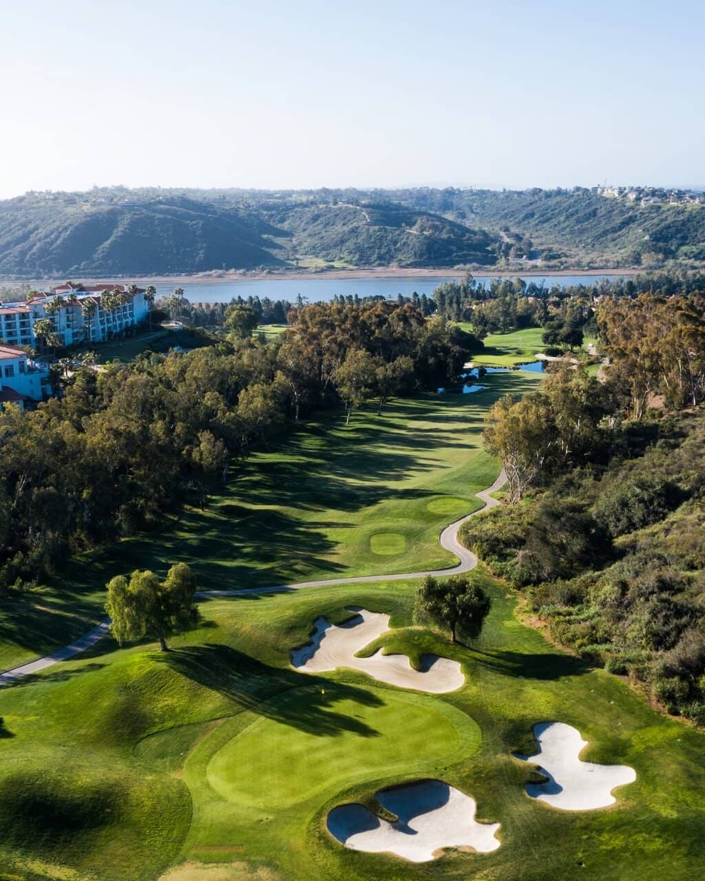 Pristine Greens