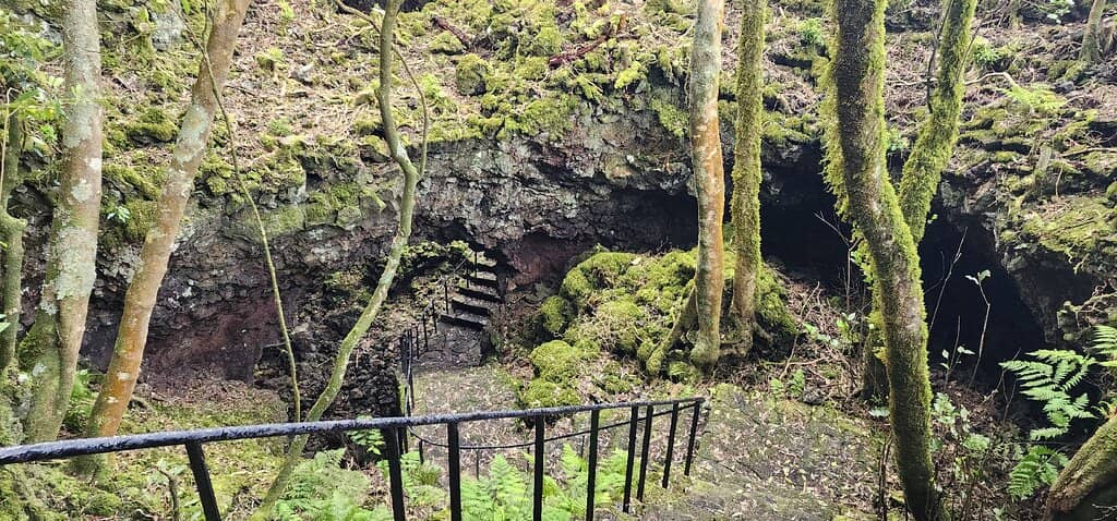 Passionate Guided Tours