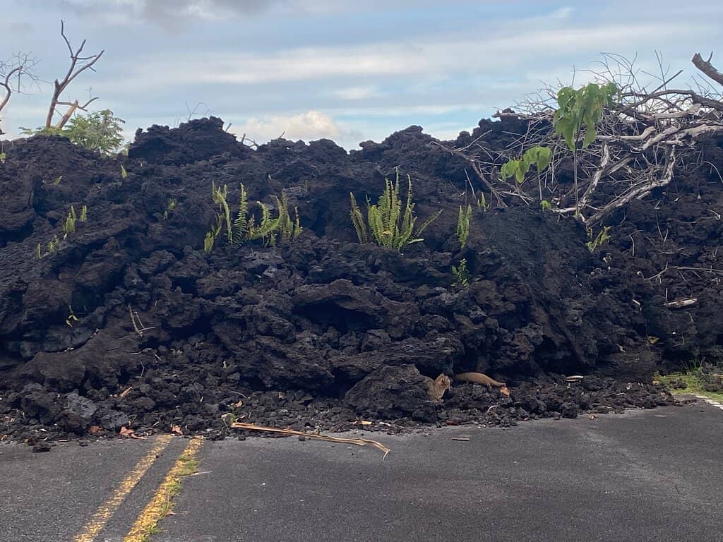 Dramatic Ocean Waves