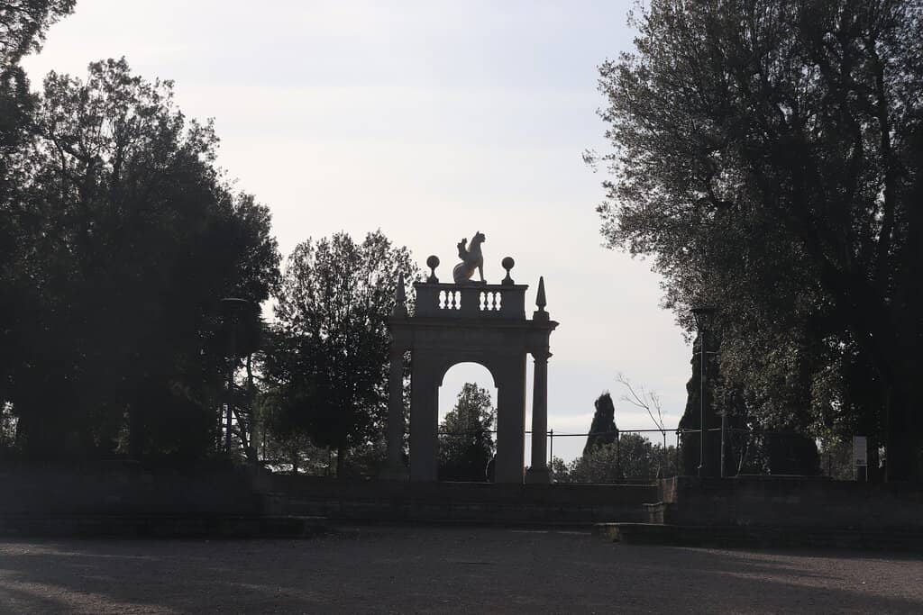 Vertical photo