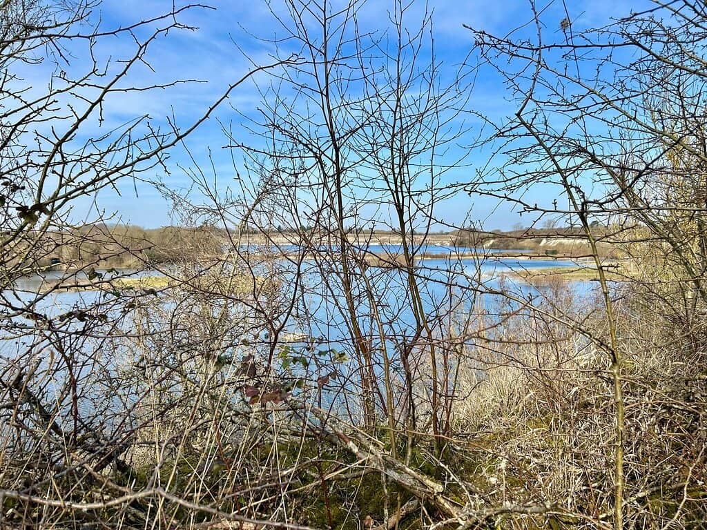 Rejuvenated Lake Views