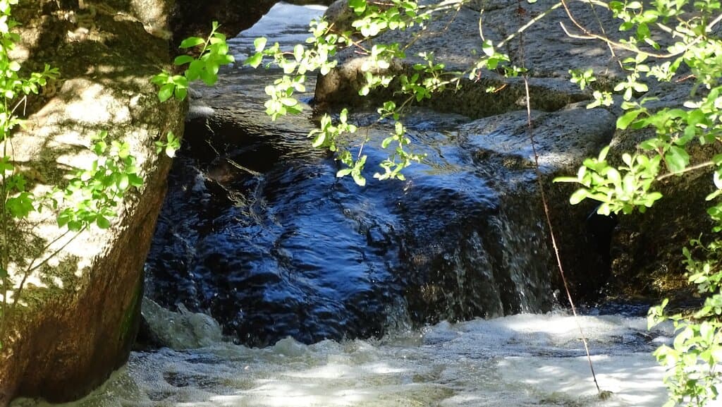 Parque Natural Gómez Carreño