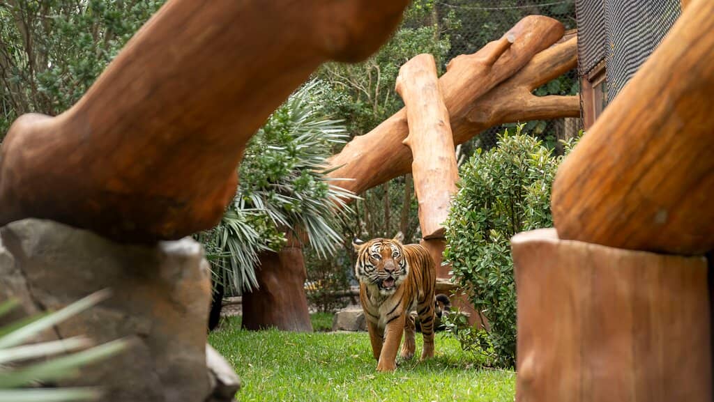 Tropical Botanical Gardens