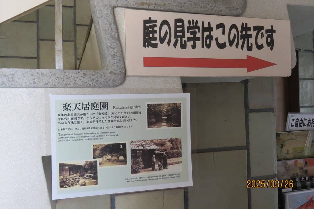 Tranquil Japanese Garden