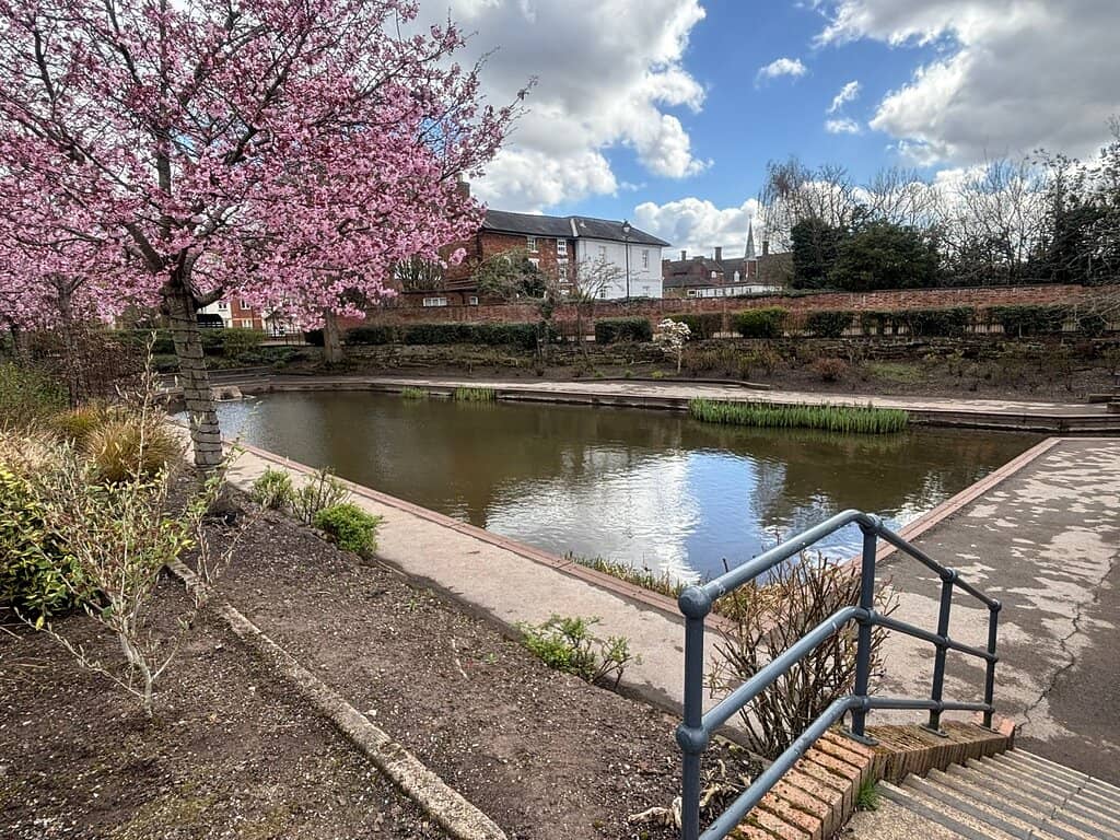 Vibrant Flower Gardens