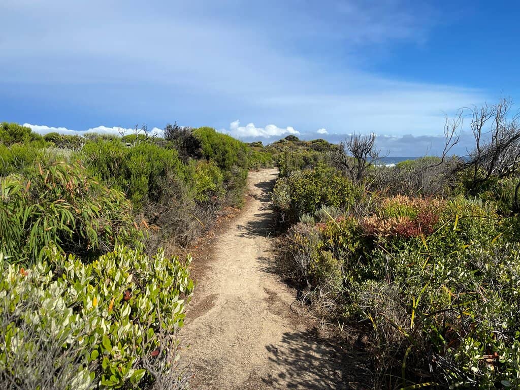 Reef-Protected Waters