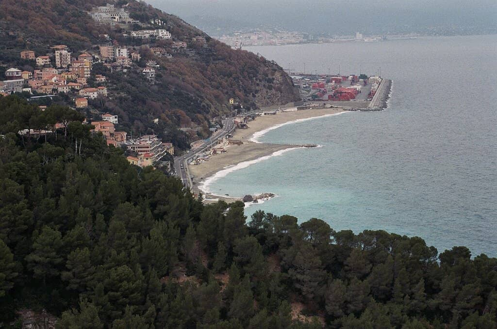 Swim the Island Event