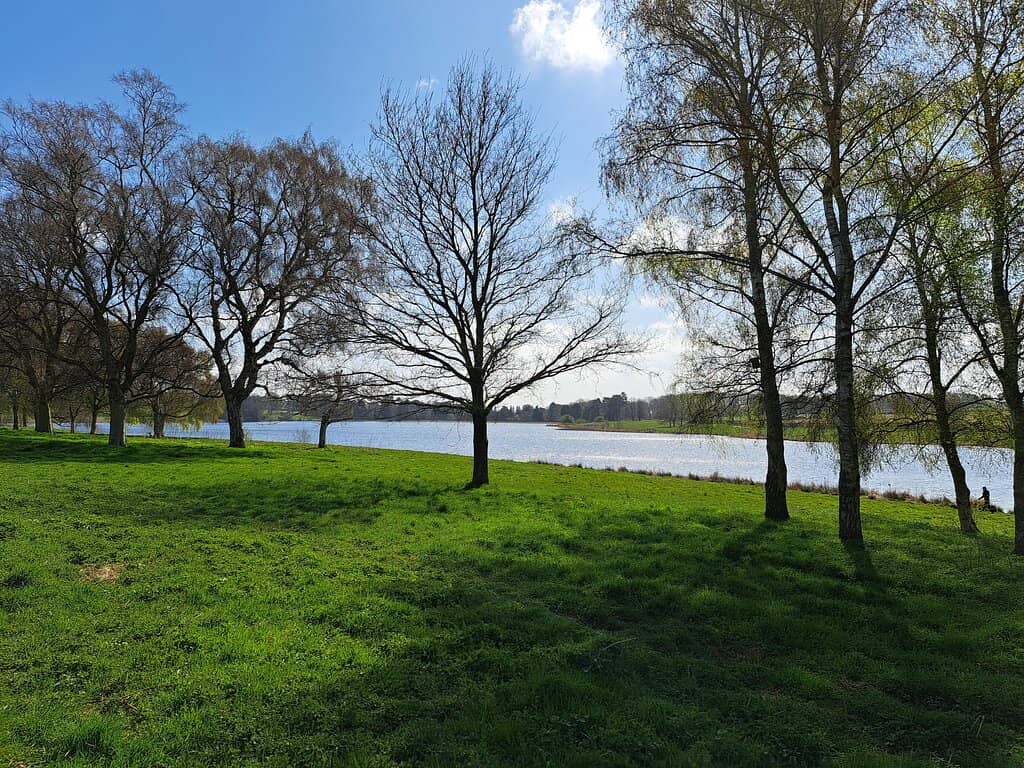 Children's Play Areas