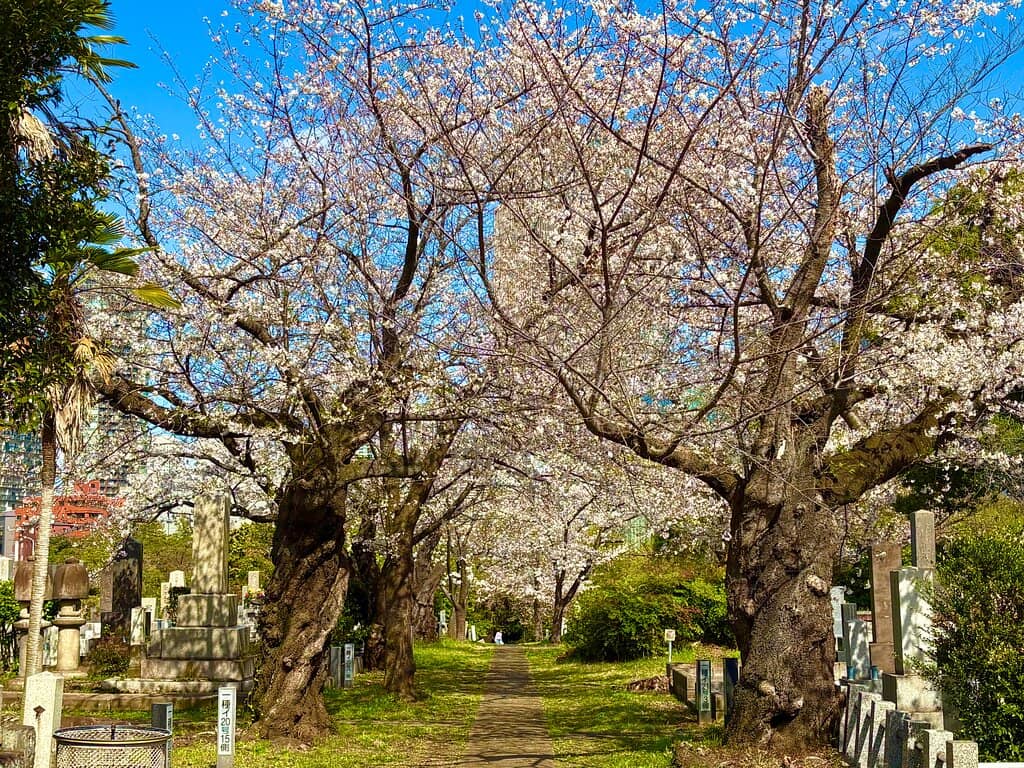 Peaceful Stroll