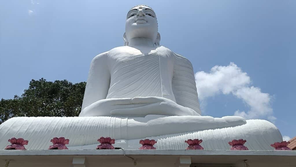 Panoramic City Views