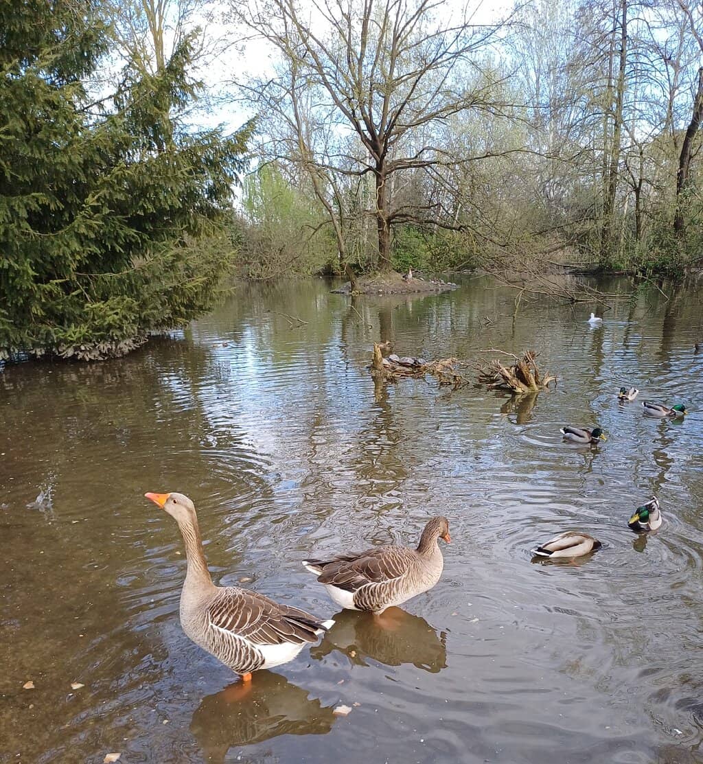 Shaded Walking Tracks