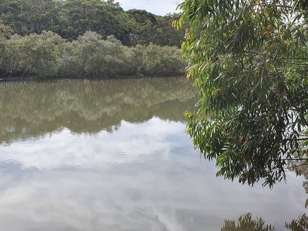 Public Art Installations