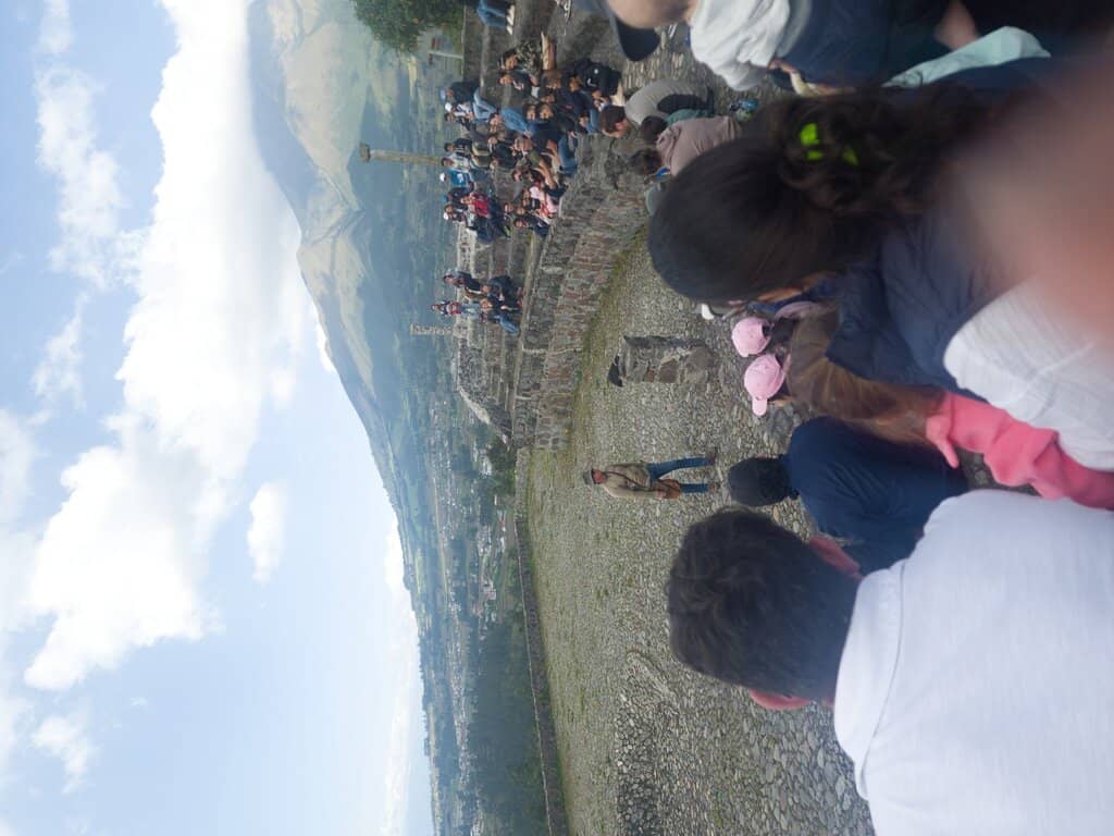 Diverse Bird of Prey Collection