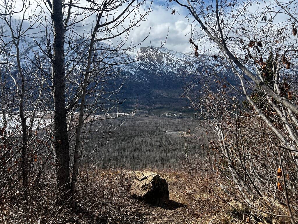 Vertical photo