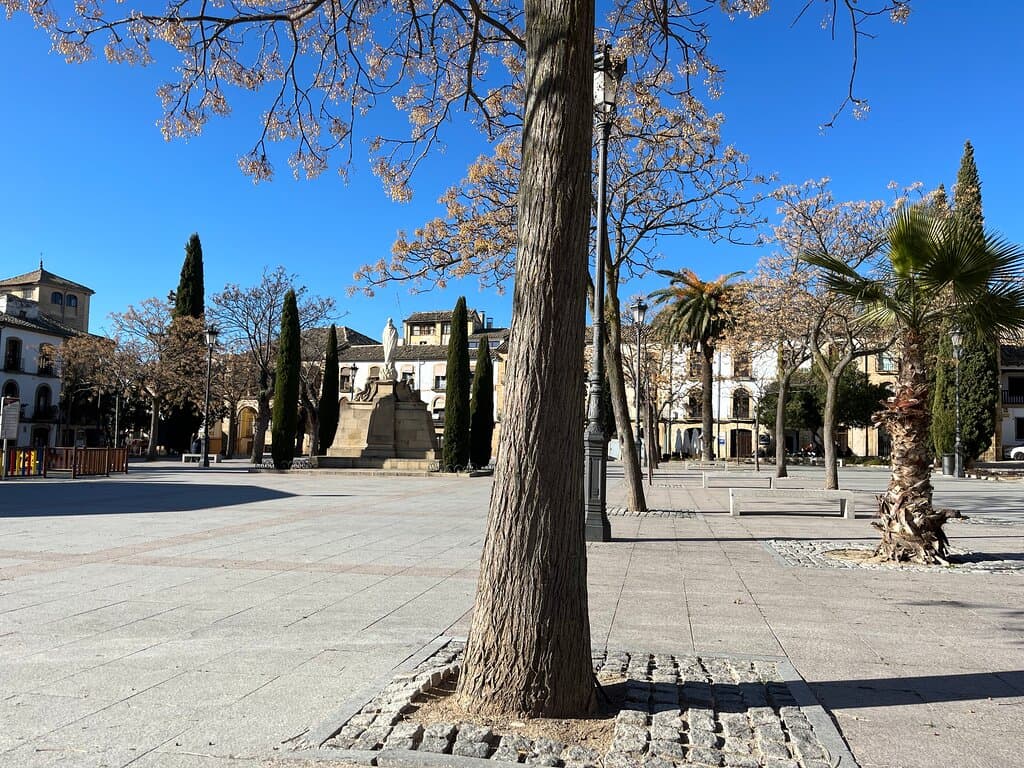 Plaza Primero De Mayo