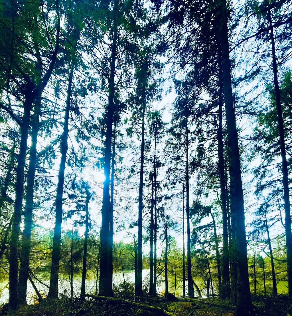 Vertical photo