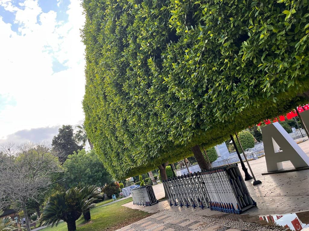 Lush Greenery & Birdsong