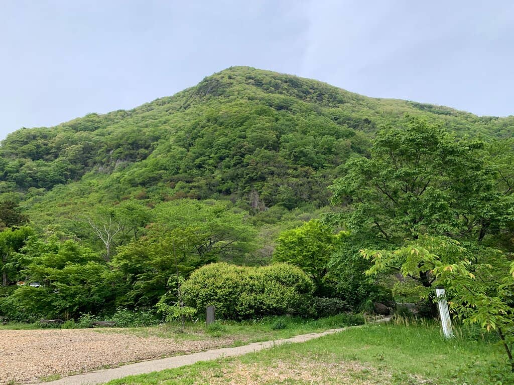 Plum Blossom Spectacle