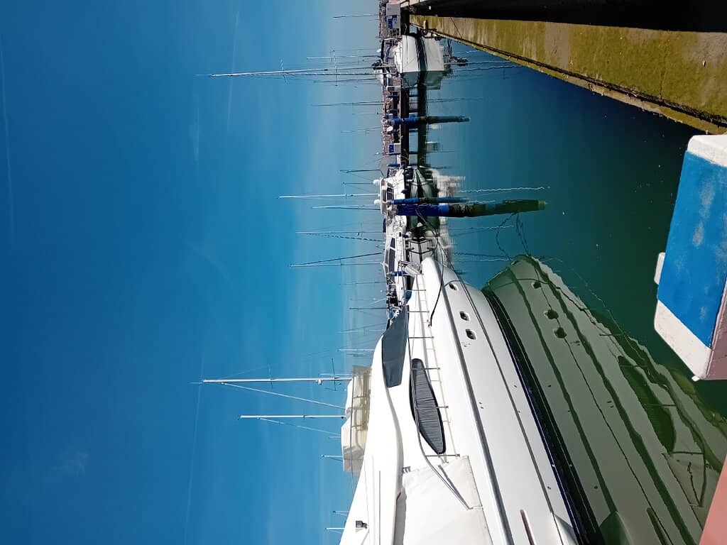 Vertical photo