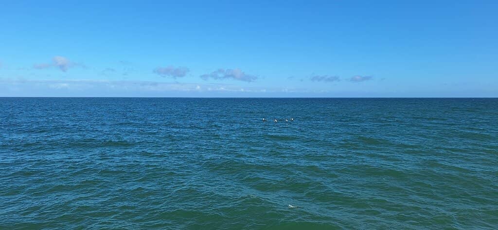 Henley Jetty Views