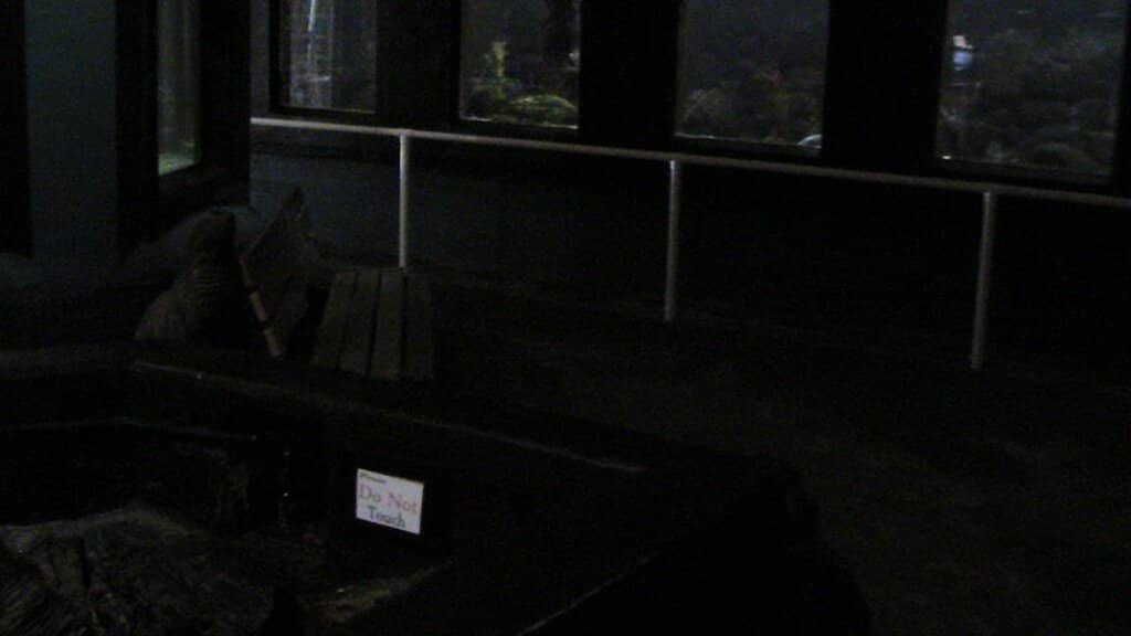 Giant Pacific Octopus