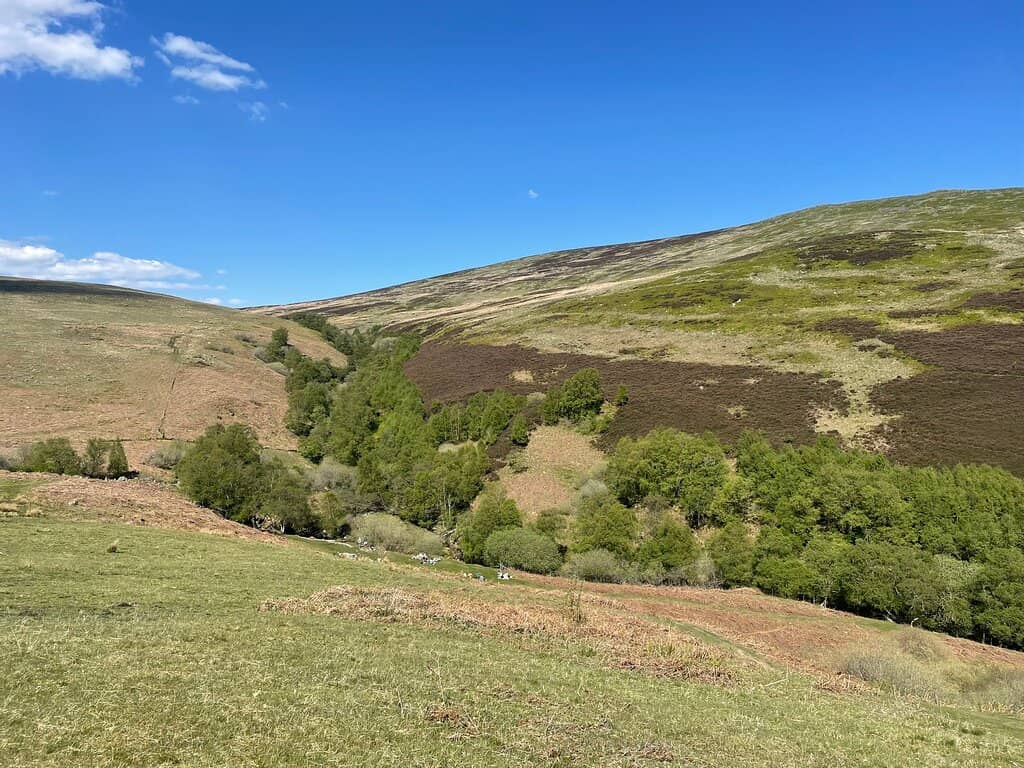 Linhope Spout Waterfall
