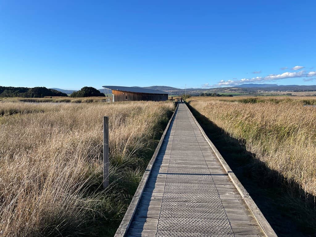 Birdwatching Haven