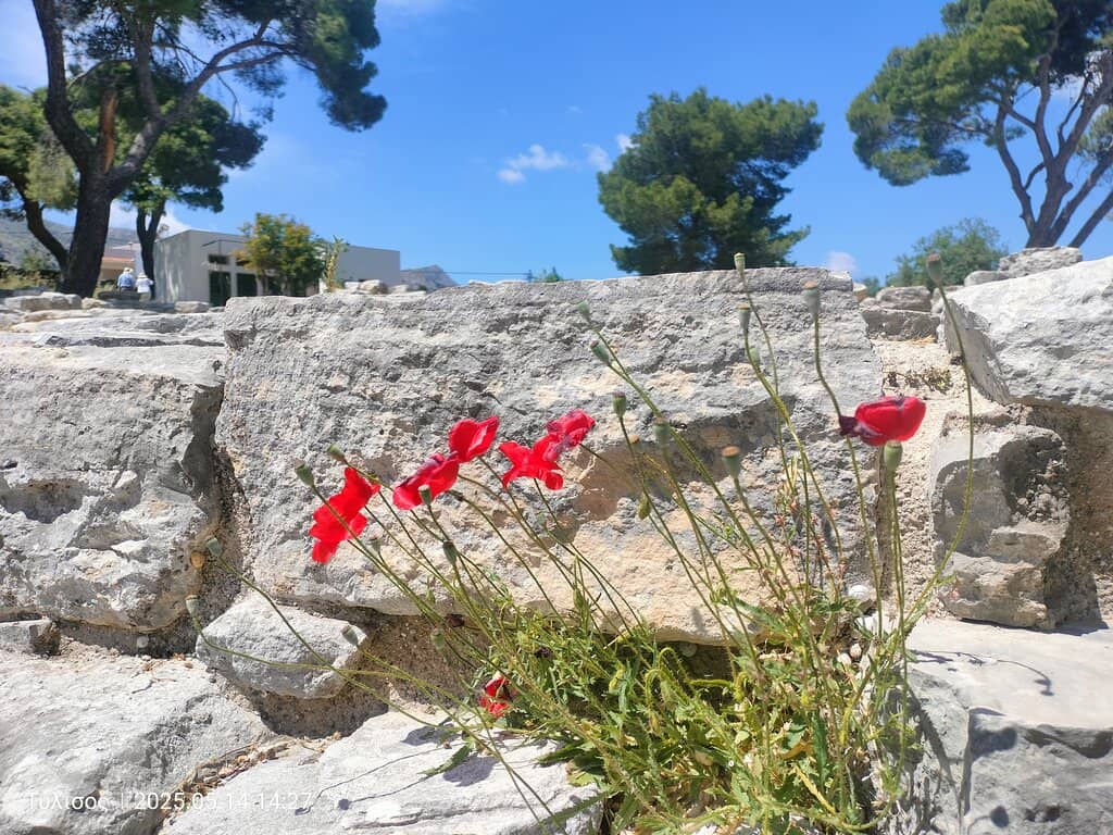 Ancient Infrastructure