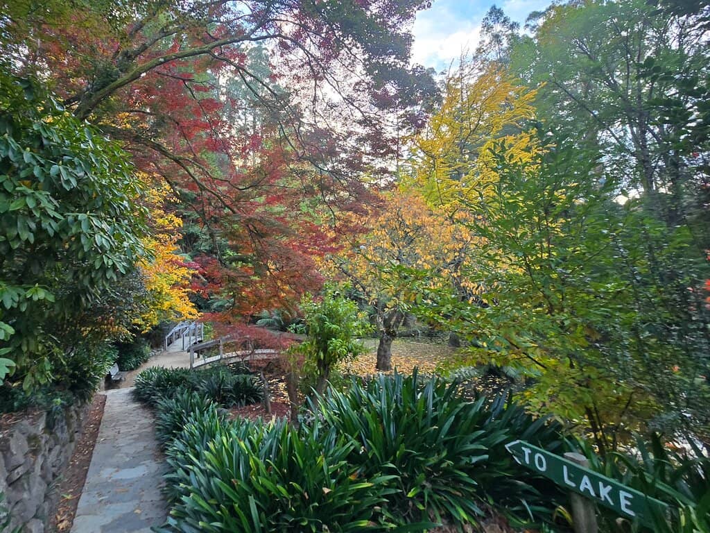 Autumn Foliage Spectacle