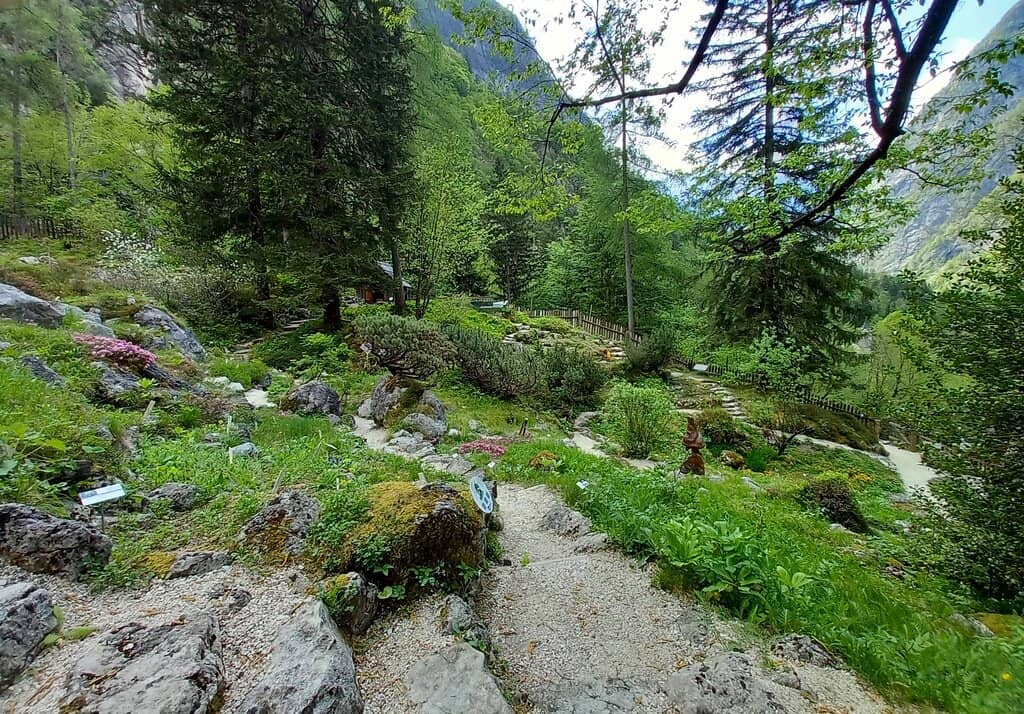 Sensory Path