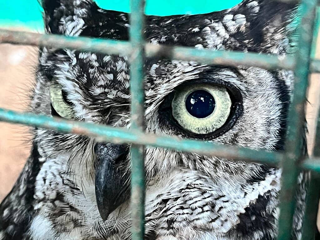 Interactive Flight Shows