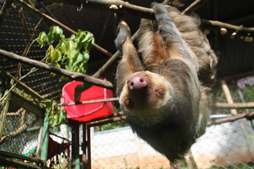 Expert Zookeeper Insights