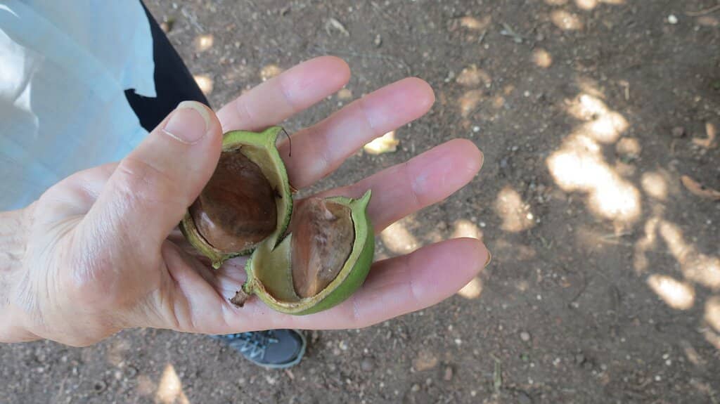Informative Farm Tour