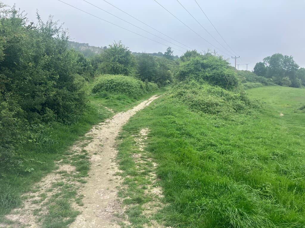 Chalk Pit Landscapes