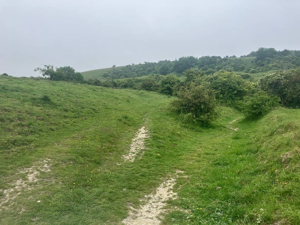 Panoramic Downs Views