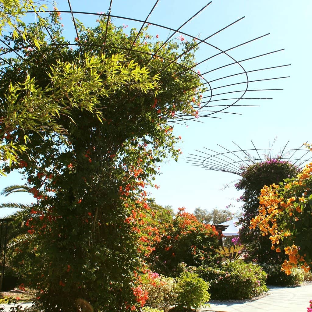 Butterfly Pavilion
